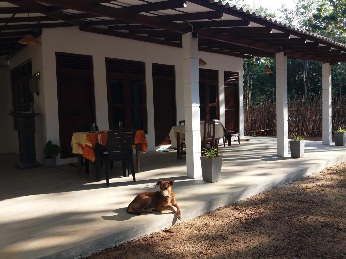 Cashew Villa Hiriketiya Dikwella Eksteriør billede